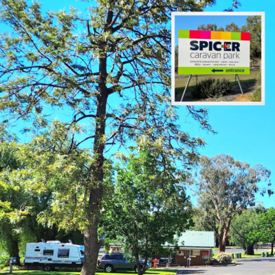 Spicer Caravan Park (2)