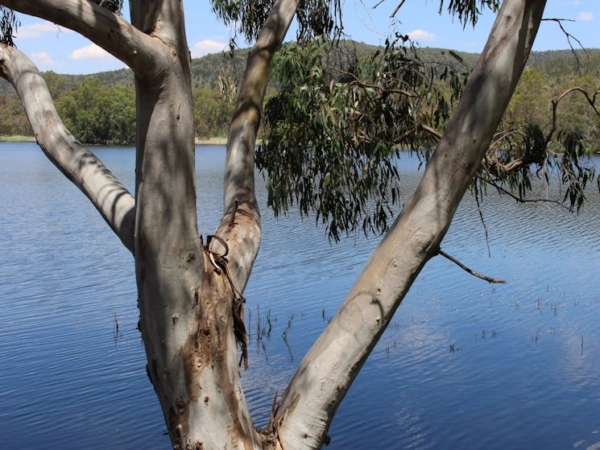 Bumberry Dam