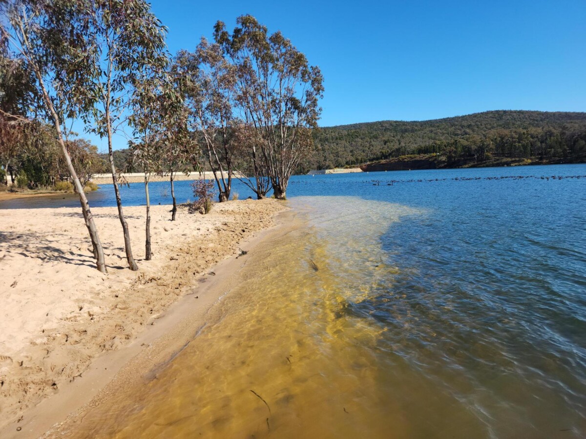 Lake Endeavour Beach